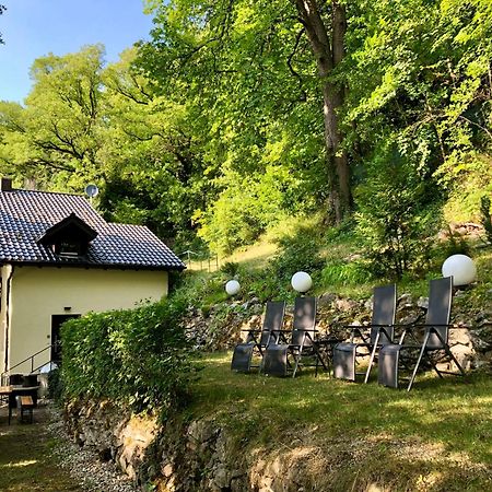 Chalet An Der Donau Direkt Bei Regensburg, 5 Sterne Dtv ペントリング エクステリア 写真
