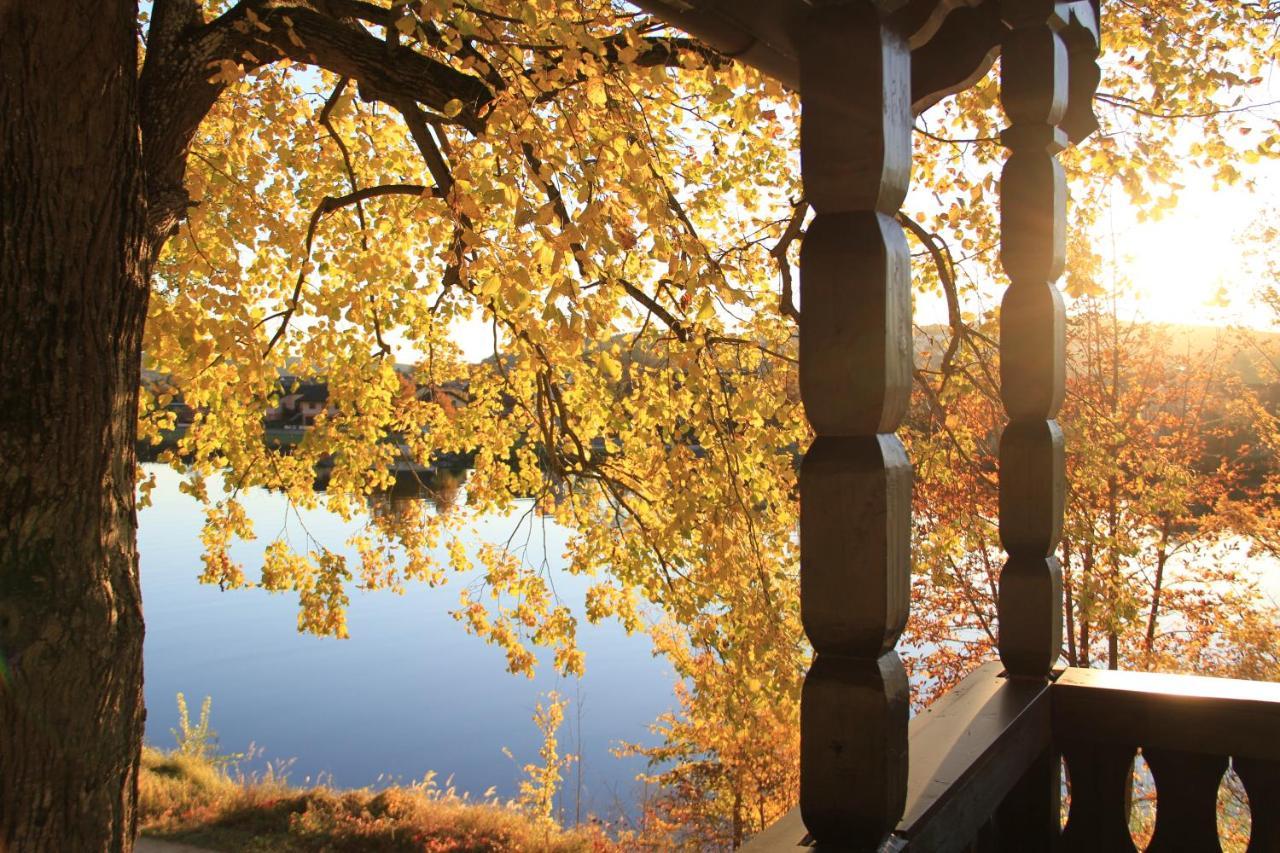 Chalet An Der Donau Direkt Bei Regensburg, 5 Sterne Dtv ペントリング エクステリア 写真